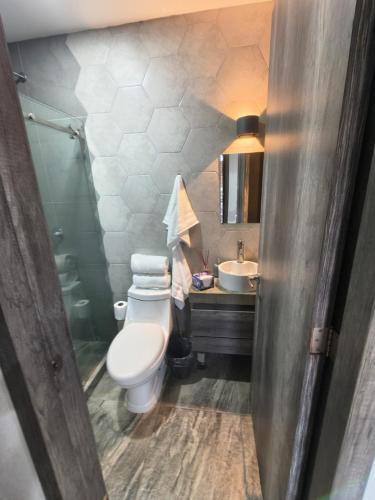 a bathroom with a toilet and a sink at Downtown Historic Area Modern and Comfortable in Puebla