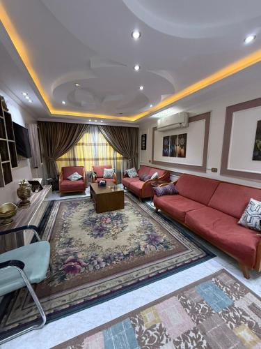 شقه فندقية بالمنصورة