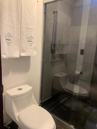 a bathroom with a toilet and a shower at Complejo Turístico Mixcóatl in San Martín de las Pirámides