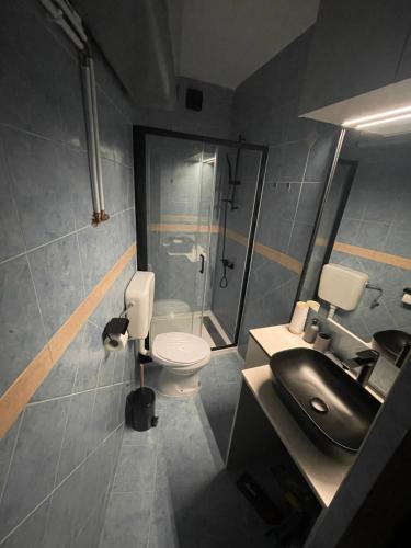 a bathroom with a toilet and a sink and a shower at Studio Luxe in Kampor