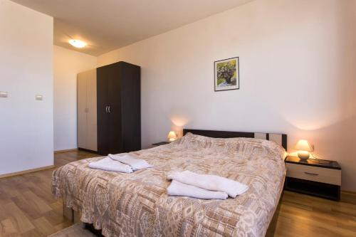 バンスコにあるTop Lodge Apartmentsのベッドルーム1室(ベッド1台、タオル2枚付)