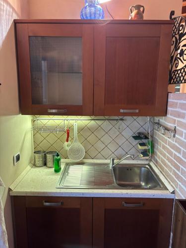 a kitchen with wooden cabinets and a sink at Villa Lara in Roseto degli Abruzzi
