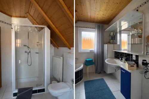 two pictures of a bathroom with a shower and a toilet at Haus am Südfrüchtegarten in Rhodt unter Rietburg