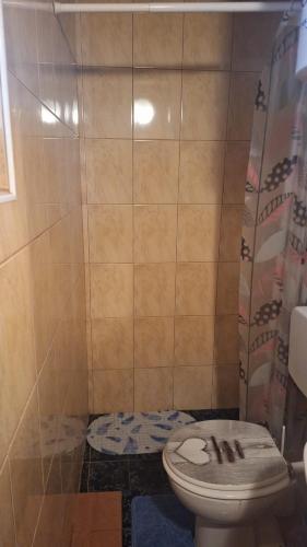 a bathroom with a toilet and a shower at Wine Hill House Trsek with Jacuzzi in Vinagora