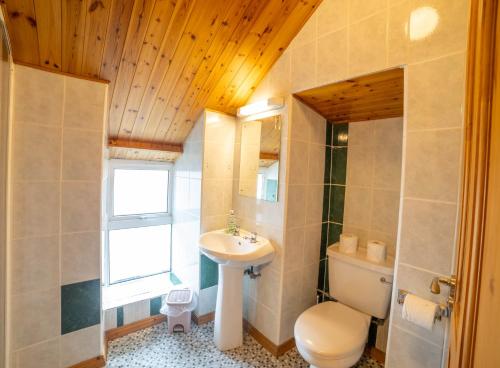 a bathroom with a sink and a toilet and a window at The Sheepshead Guesthouse in Durrus