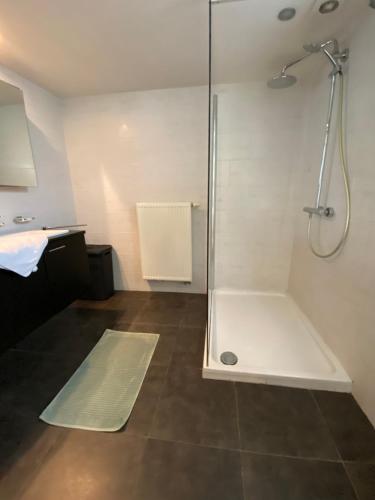 a bathroom with a shower with a glass door at Woning met 4 slaapkamers in Zelzate