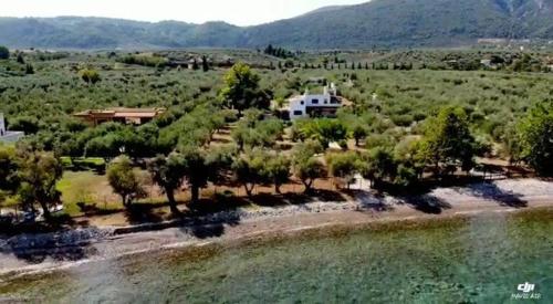 an aerial view of a house next to a body of water at Beachfront cottage house in olive grove in Arkitsa