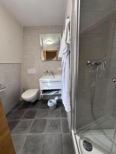 a bathroom with a shower and a sink and a toilet at Doppelzimmer 11 in Heidenheim