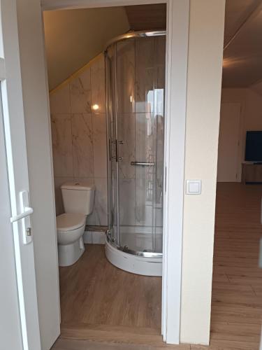 a bathroom with a shower and a toilet at Imanje Mihailovic 3 in Pružatovac