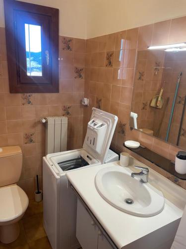 a bathroom with a sink and a toilet at L'Écrin de Sauge- jolie Terrasse in Gréoux-les-Bains