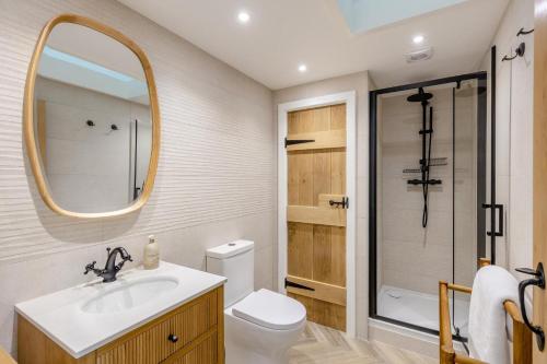a bathroom with a sink and a toilet and a mirror at 1 Bed in Llanmorlais oc-p35002 in Penclawdd