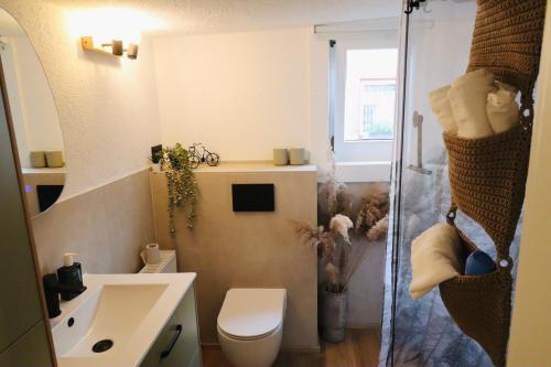 a bathroom with a toilet and a sink and a shower at Klinkerstube in Heuchelheim-Klingen