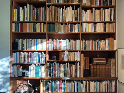 a book shelf filled with lots of books at Casa d'epoca con giardino 5 min da Locarno in Minusio
