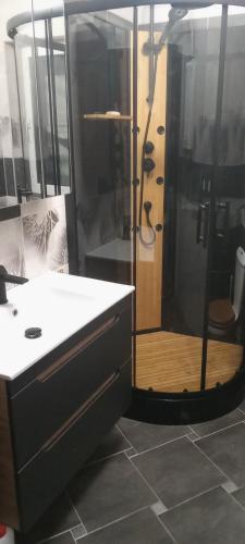 a bathroom with a shower and a sink and a shower at Dom Parlinek agroturtstyka wędkowanie sauna jacuzzi in Dąbrowa