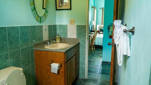 a bathroom with a sink and a toilet at Lamblion Holiday Apartment in Freemans