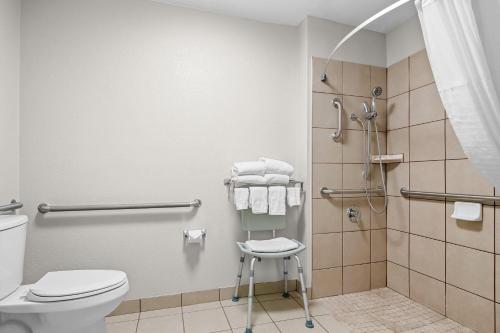 a bathroom with a toilet and a shower at Days Inn by Wyndham Imlay City in Imlay City