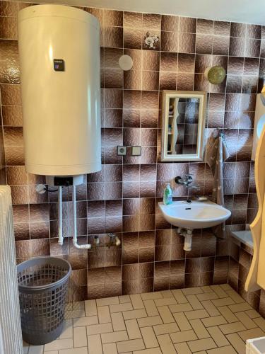 a bathroom with a sink and a mirror at Chalupa u Pepy in Tábor
