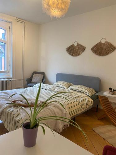 a bedroom with a bed and a potted plant at Central Cozy Rooms in Zurich