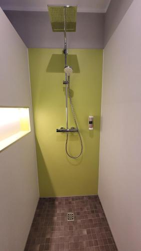 a bathroom with a shower in a green wall at Hof Hahnenberg in Wagenfeld