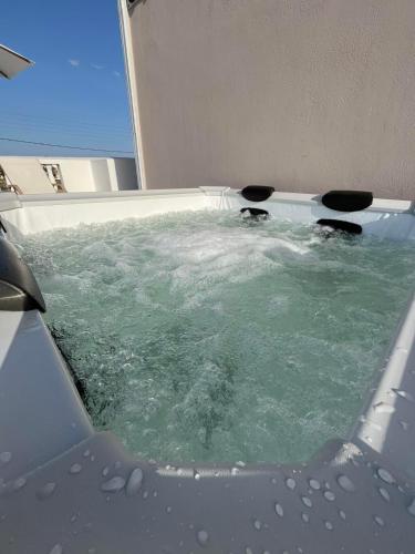 a tub filled with water with two dogs in it at Pension St.George Rooms & Studios in Perivolos