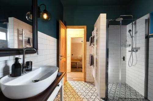a bathroom with a sink and a shower at Hébér Ház in Románd