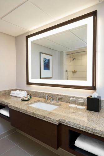 a bathroom with a sink and a large mirror at Memphis Riverline Hotel in Memphis