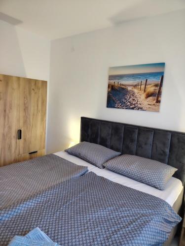 DB Apartments
