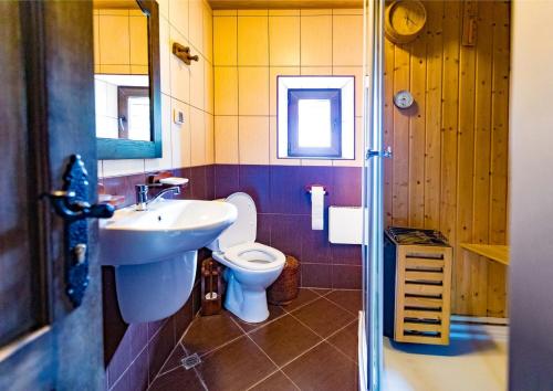 a bathroom with a sink and a toilet at Къща за гости Старият Град Златоград in Zlatograd
