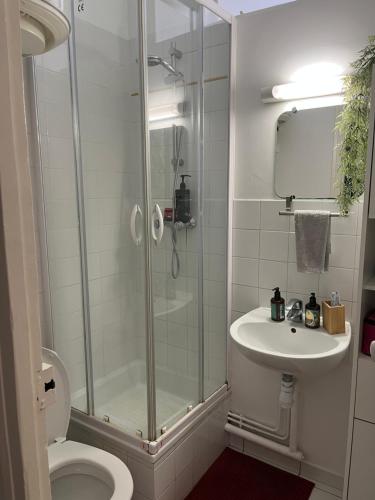 a bathroom with a shower and a toilet and a sink at Petit cocon à 10 min de Paris in Cachan