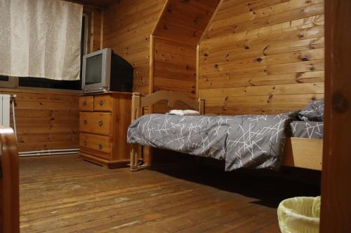 a bedroom with a bed and a tv and wooden walls at Cottage CHILL ZONE in Yaremche