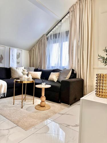 Velvet and Gold Studio Chic