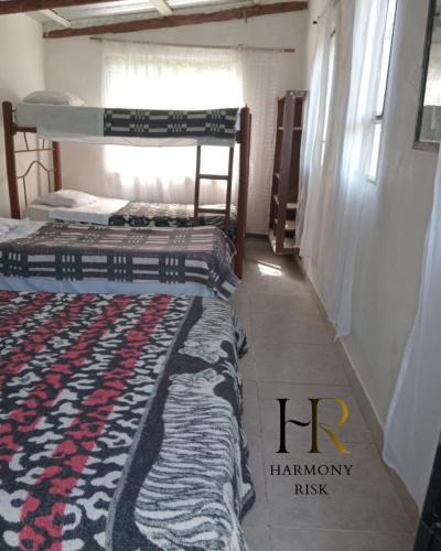 two bunk beds in a room with a rug on the floor at Harmony Risk in Albán