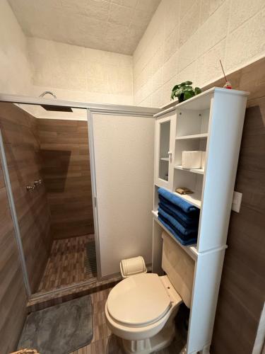 a bathroom with a toilet and a shower at Casa Valentía in Tequila