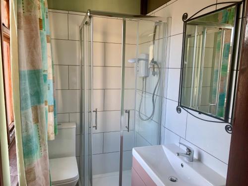 a bathroom with a shower and a sink and a mirror at Azure Lodge in Bundoran