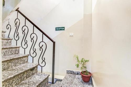 a stairway with a potted plant on the wall at Hotel O Royal Green in New Delhi