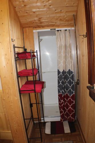 a small room with a ladder and a shower at Kaleva East in South Range