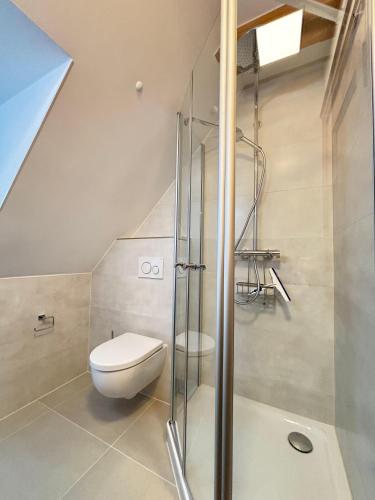 a bathroom with a toilet and a shower at Ferienwohnung-Weidenstieg-OG in Wenningstedt