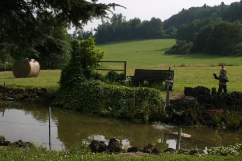 a person standing next to a body of water at Pension Haus Liesertal in Üdersdorf