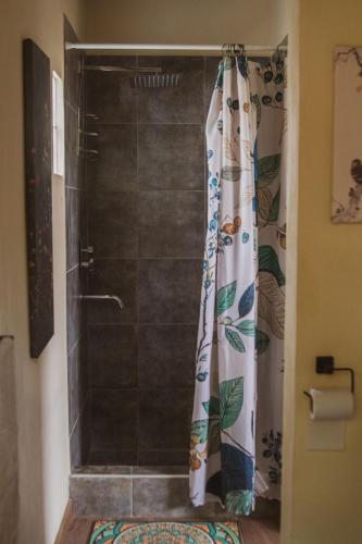a shower with a shower curtain in a bathroom at Aware in Capilla del Monte