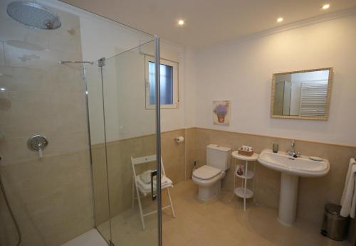 a bathroom with a shower and a toilet and a sink at Finca El Romeral in Alpera