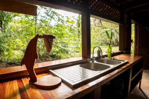 a kitchen counter with a sink and a window at Dolphin Quest Jungle Lodge in Piedras Blancas