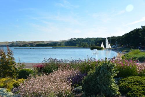 a sailboat on the water with a field of flowers at Lana in Nida
