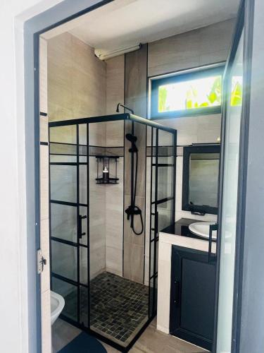 a bathroom with a shower with a toilet and a sink at Cloudview Villa in Mahébourg