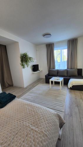 a living room with a bed and a couch at Vedo apartment 3 Тячів in Tyachiv