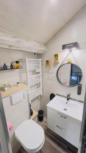 a bathroom with a toilet and a sink and a mirror at Top Loft Perles 4 des Châteaux in Mer