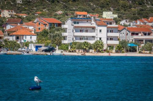 Villa Albatros – Photos 2