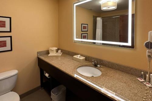 a bathroom with a sink and a mirror and a toilet at Comfort Inn & Suites Rogersville in Rogersville