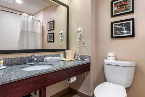 a bathroom with a toilet and a sink and a mirror at Comfort Inn Birmingham - Irondale in Birmingham
