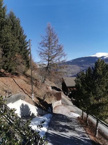 a snow covered driveway with a house and trees at Le balcon de Mâche in Hérémence