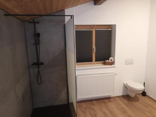 a bathroom with a shower and a toilet and a window at Fewo zum schwarzen Hirsch in Dalaas